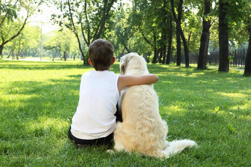 6 Spiritual Life Lessons My Dog Taught Me