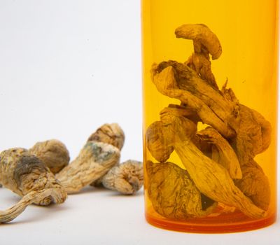 Plastic prescription medicine bottle knocked over containing dried psilocybin