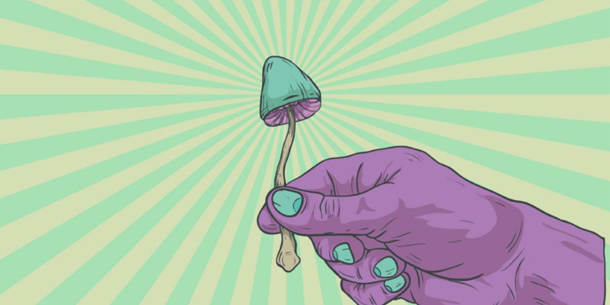 The Unexpected Power Of Magic Mushrooms Reversing The Aging Process - 5hj8f4k