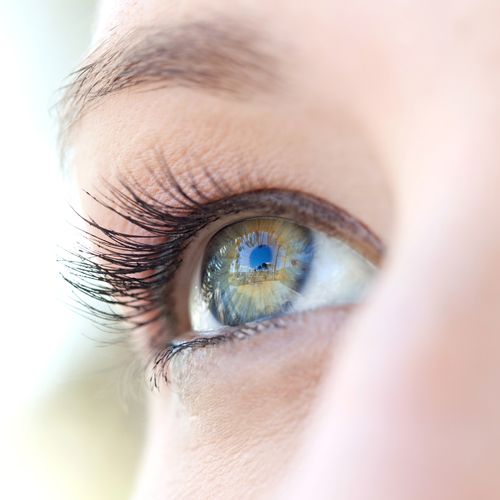 Close up beauty portrait of a young caucasian healthy woman eye looking up with lush and long eyelashes