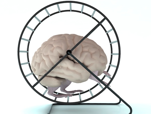 Image result for hamster wheel for humanity