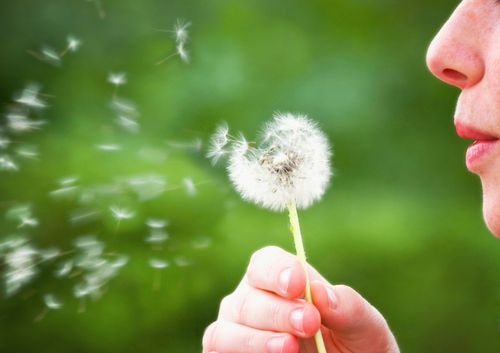 a woman blowing a dandelion during summer time